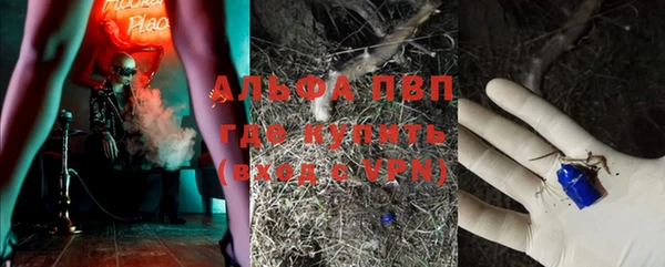 дживик Алзамай