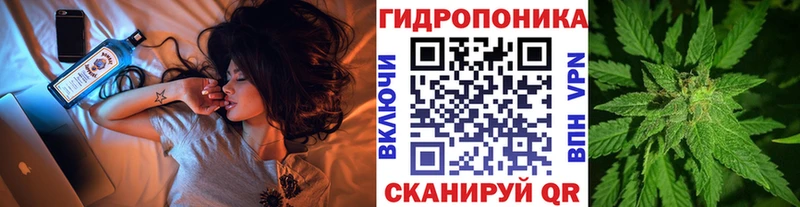 Бошки марихуана Bruce Banner  Дивногорск 